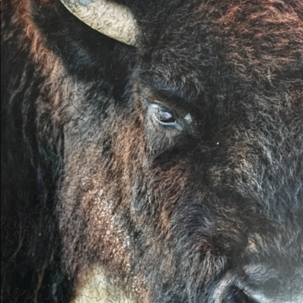 Artistry Puzzles CO Theme American Buffalo